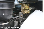   Hania 6x4