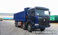   Hania 8x4